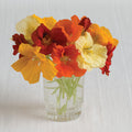 Fleurs Capucine Jewel