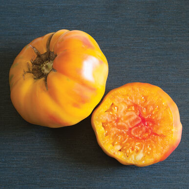 Tomates ancestrales jaunes Striped German