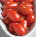 Tomates raisins rouges Five Star Grape