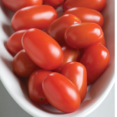Tomates raisins rouges Five Star Grape