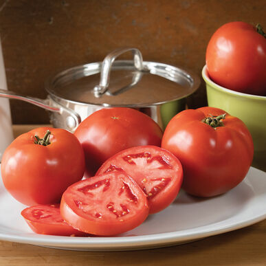 Tomates rouges Big Beef Plus